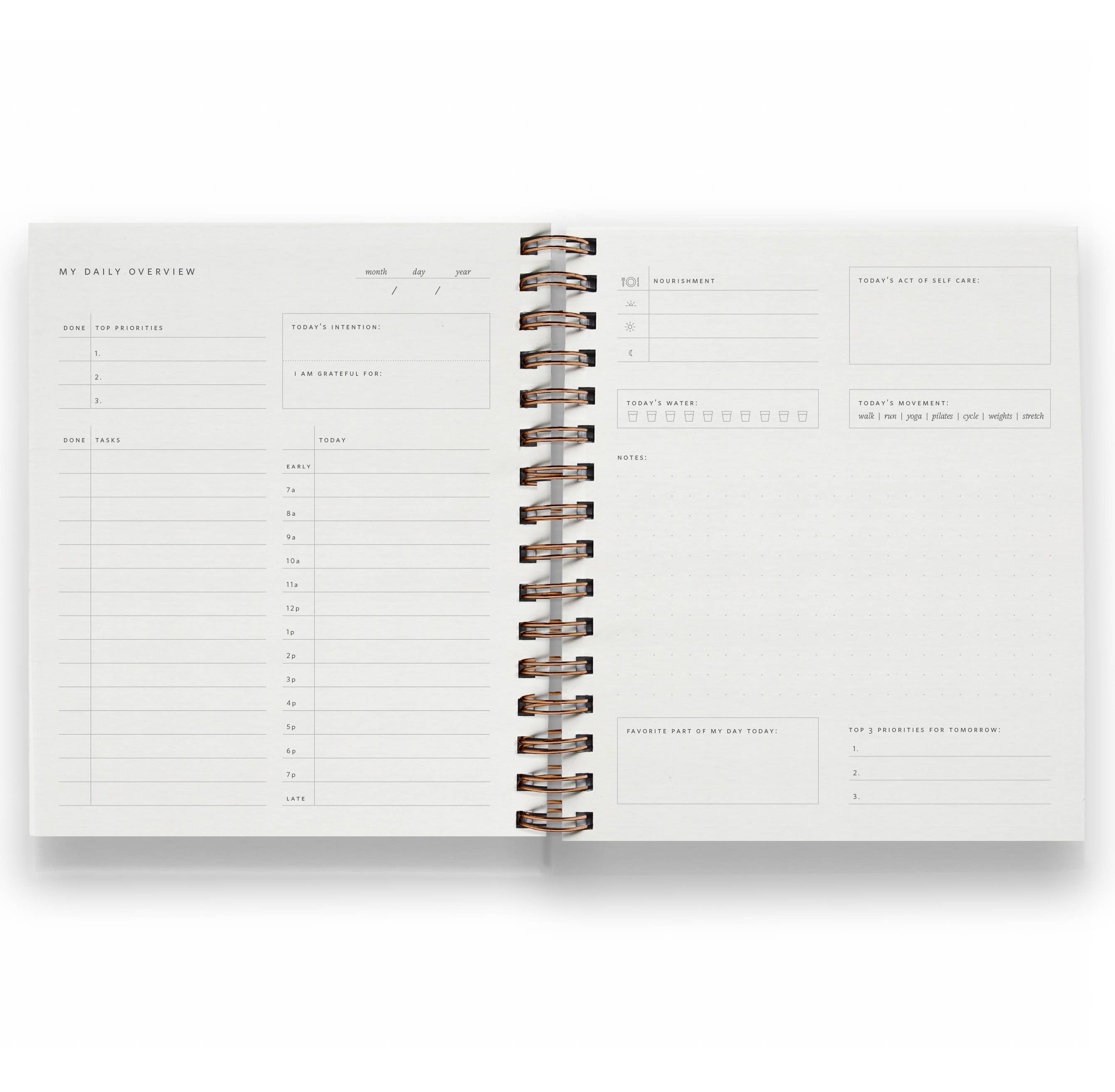 TWO COLORS: Daily Overview Planner | Assorted Colors // Undated