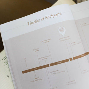 Delight Study | Psalms 1-30