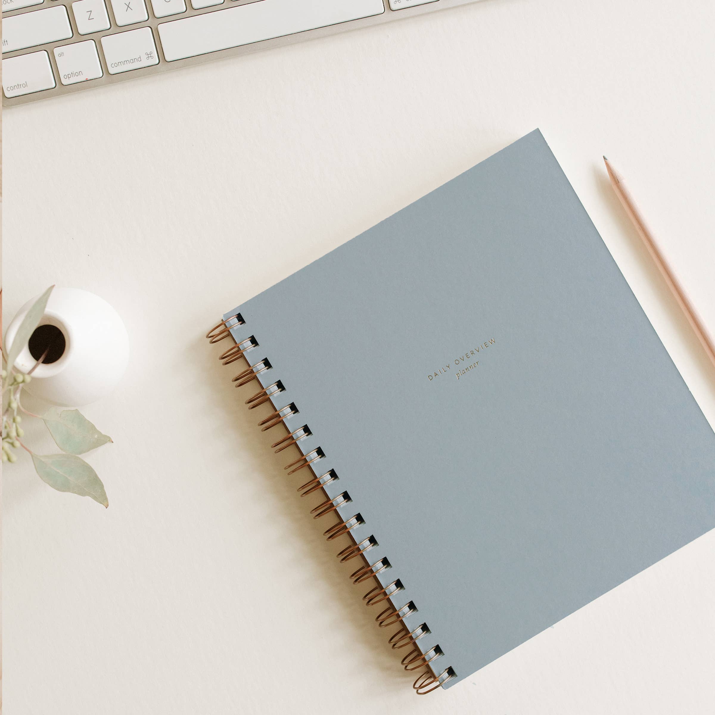 TWO COLORS: Daily Overview Planner | Assorted Colors // Undated
