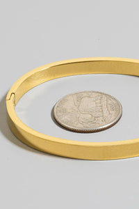Stainless Steel Double Pave Row Hinge Bangle Bracelet