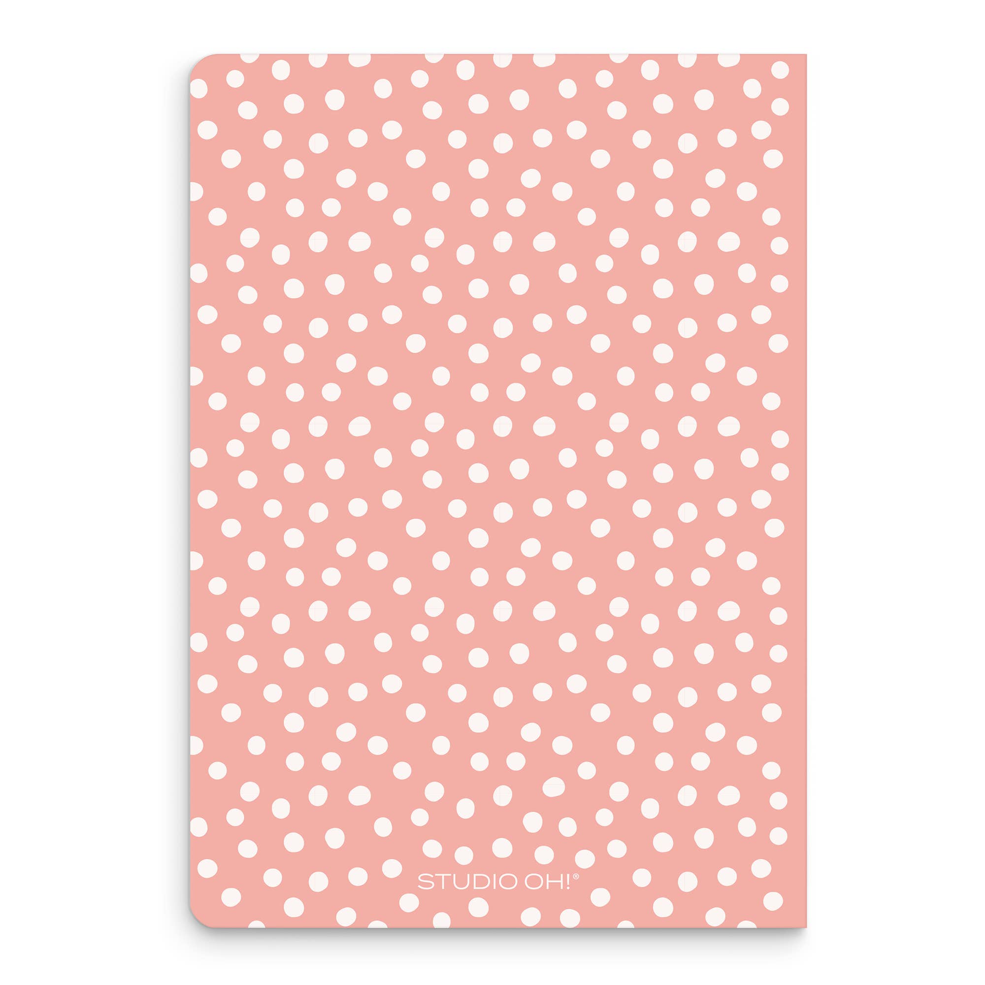 Sage & Blush Keri Notebook Organizer