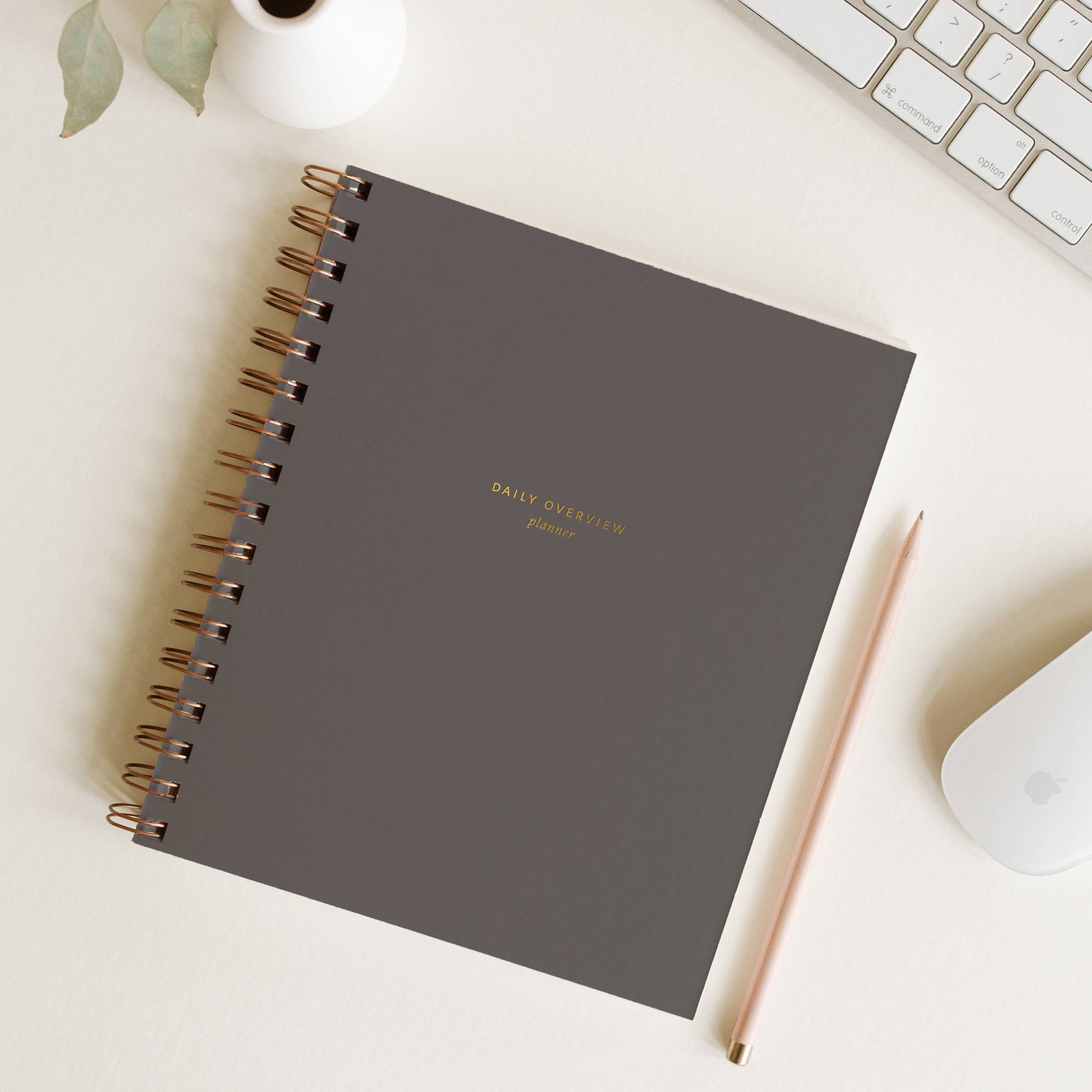 TWO COLORS: Daily Overview Planner | Assorted Colors // Undated