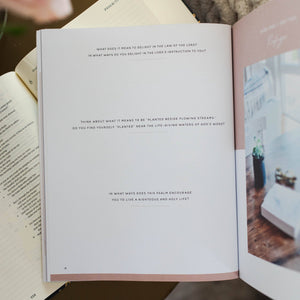 Delight Study | Psalms 1-30