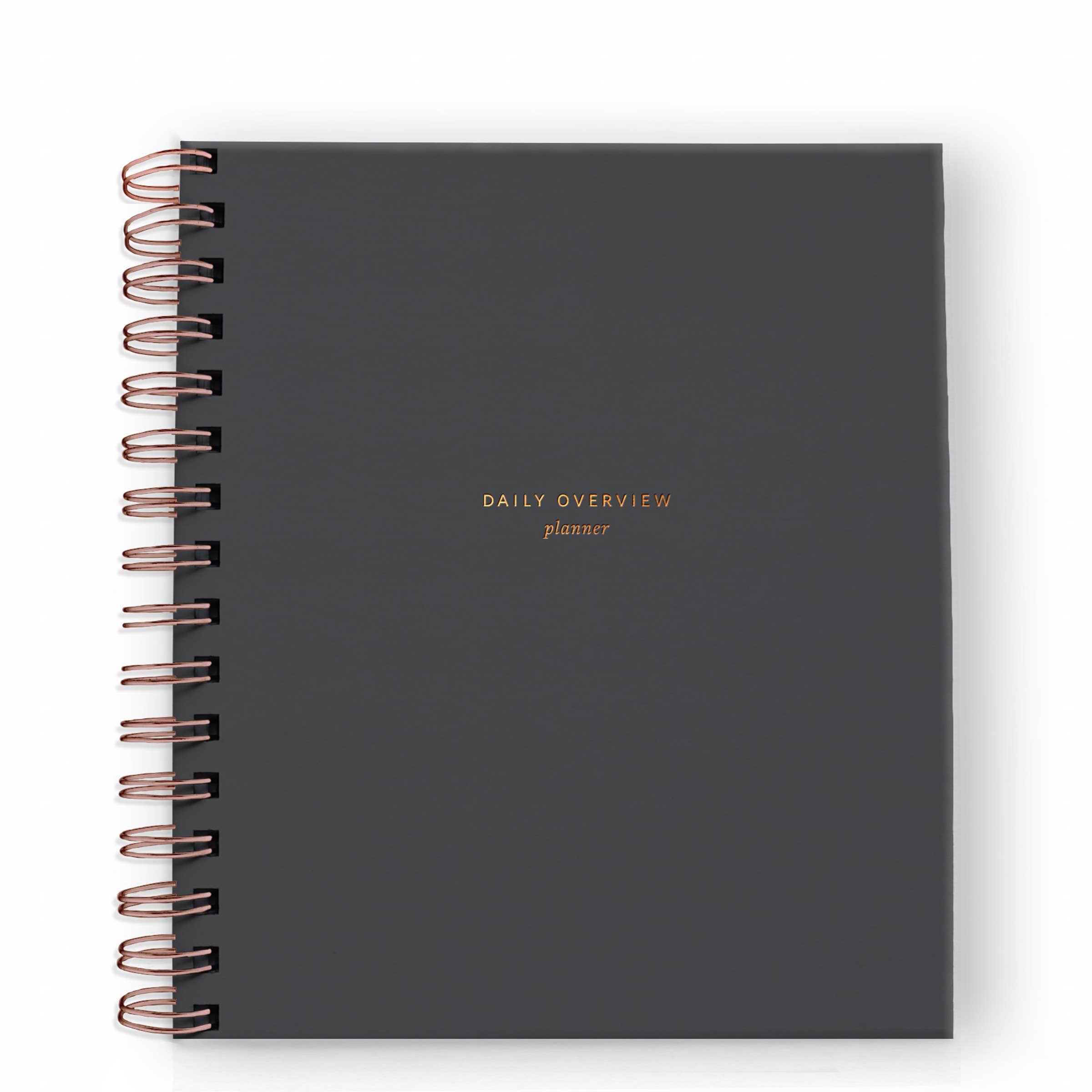TWO COLORS: Daily Overview Planner | Assorted Colors // Undated
