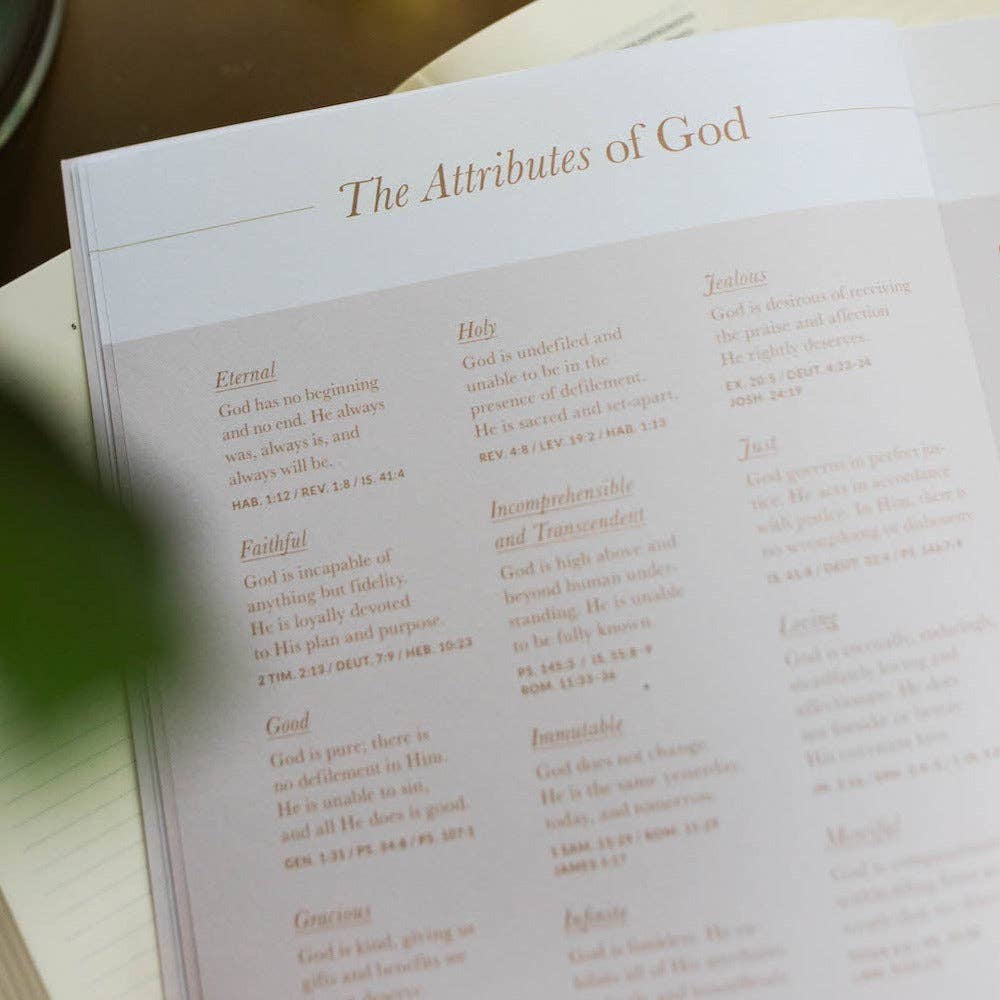 Delight Study | Psalms 1-30