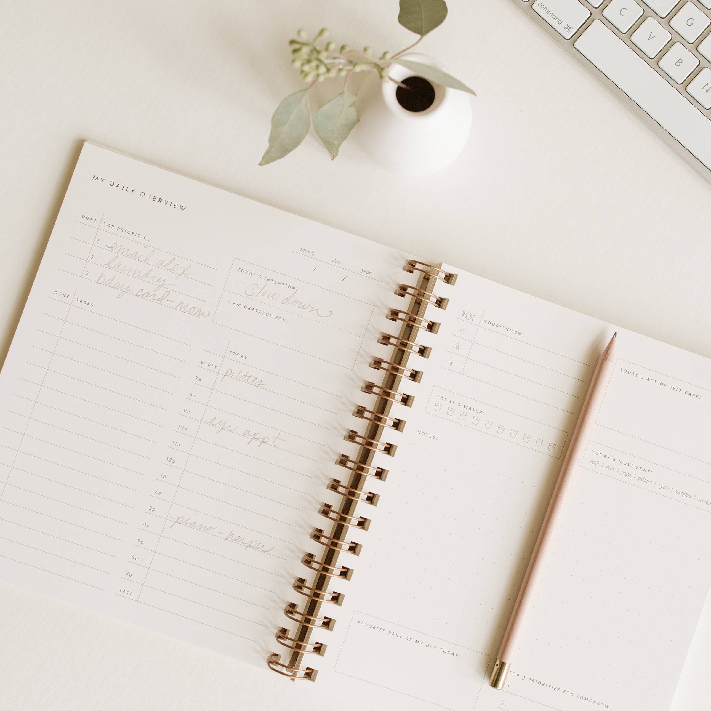 TWO COLORS: Daily Overview Planner | Assorted Colors // Undated