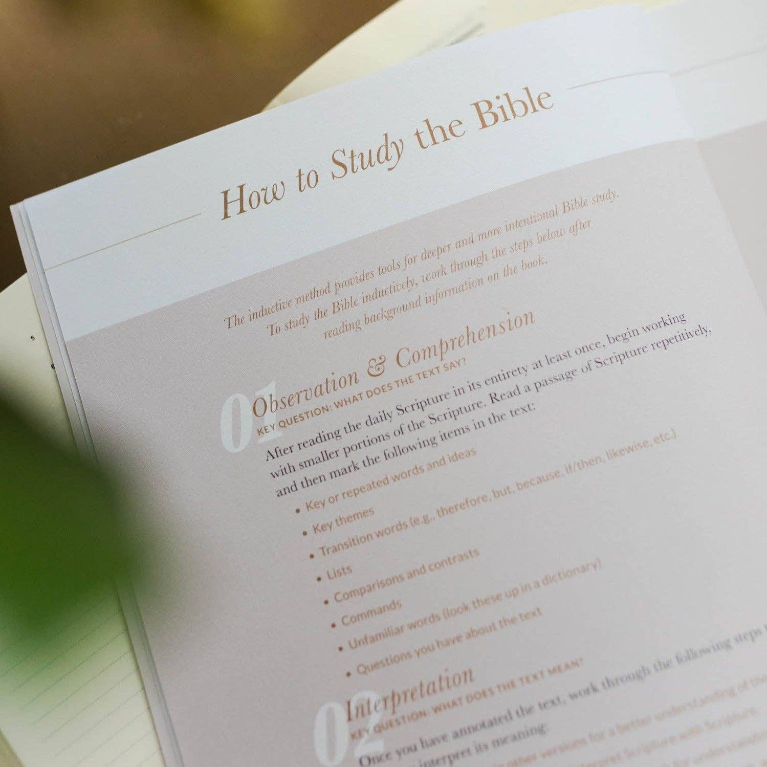 Delight Study | Psalms 1-30