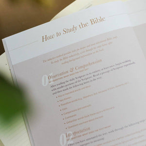 Delight Study | Psalms 1-30