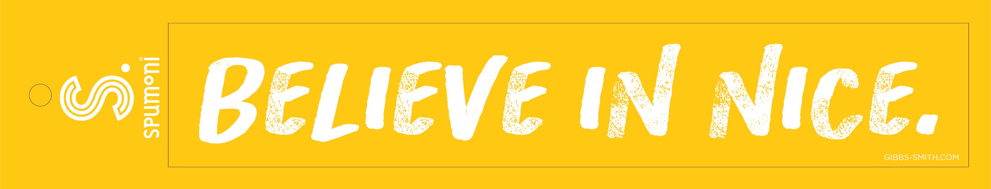 Believe in Nice:  Bumper/Water Bottle  Sticker
