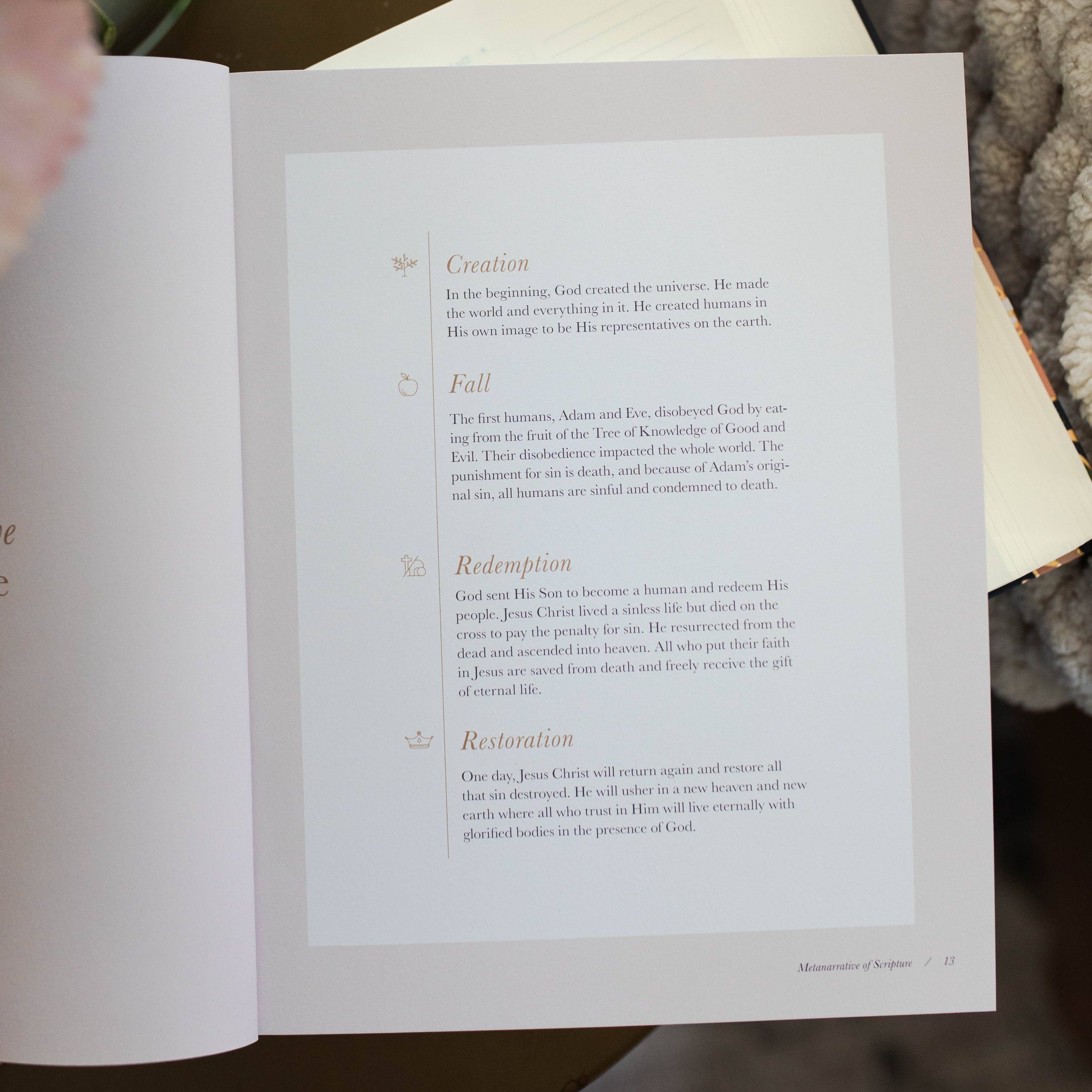 Delight Study | Psalms 1-30