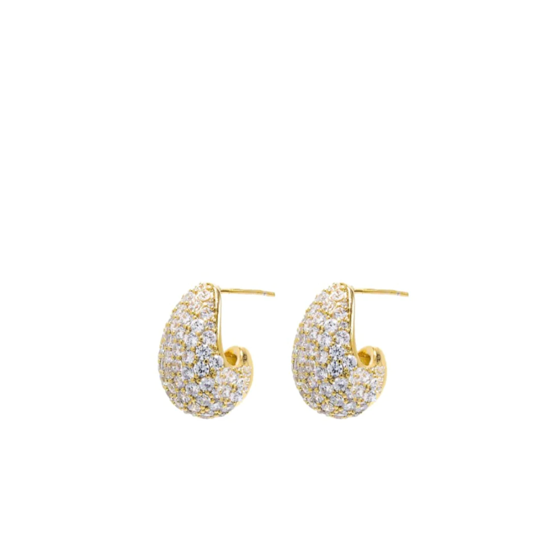 Pretty Half-Moon Earrings